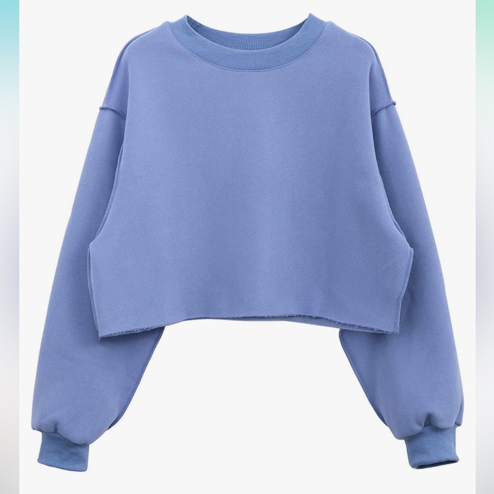 NWT Cropped Hoodie